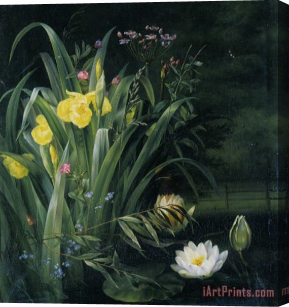 Hermania Sigvardine Neergaard Lily Pond Stretched Canvas Painting / Canvas Art