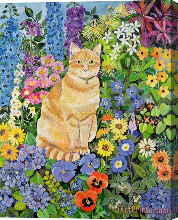 Hilary Jones Gordon's Cat Stretched Canvas Painting / Canvas Art