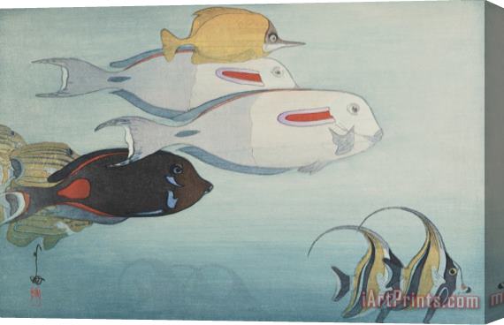 Hiroshi Yoshida Fishes of Honolulu (honoruru Suizokukan), From The American Series Stretched Canvas Print / Canvas Art