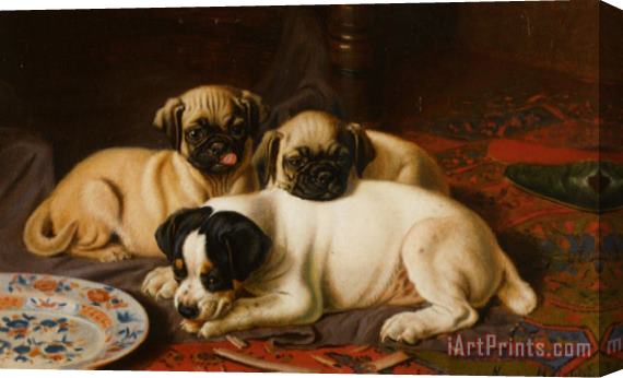 Horatio Henry Couldery Two Pugs And a Terrier Stretched Canvas Print / Canvas Art