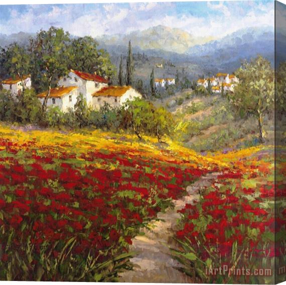 Hulsey Fleur Du Pays I Stretched Canvas Painting / Canvas Art