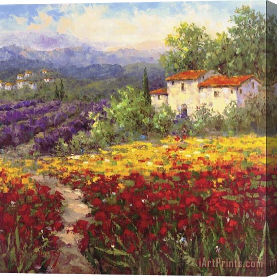 Hulsey Fleur Du Pays II Stretched Canvas Painting / Canvas Art