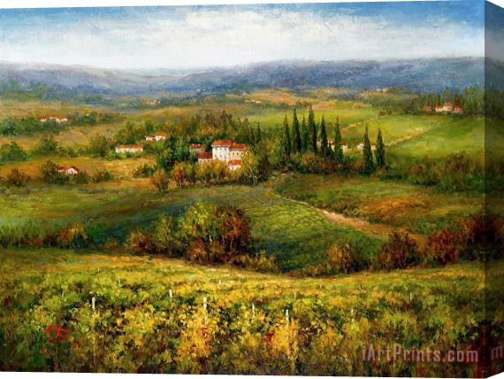 Hulsey Villa D'calabria Stretched Canvas Painting / Canvas Art
