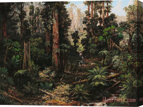 Isaac Whitehead In The Sassafras Valley, Victoria Stretched Canvas Print / Canvas Art