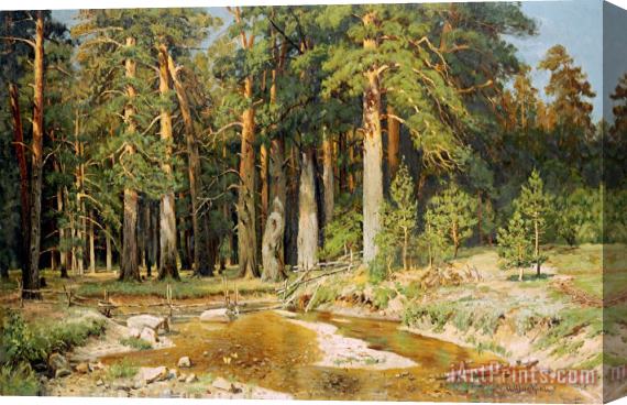 Ivan Shishkin The Mast Tree Grove, Study Stretched Canvas Painting / Canvas Art