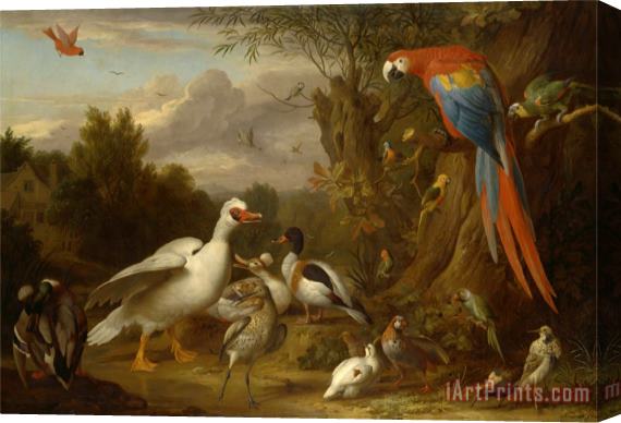Jacob Bogdani A Macaw, Ducks, Parrots And Other Birds in a Landscape Stretched Canvas Print / Canvas Art