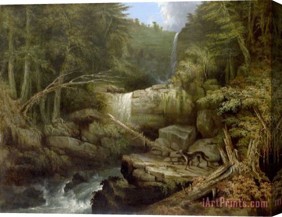 Jacob C. Ward Wolf in The Glen (cattskill Falls) Stretched Canvas Painting / Canvas Art