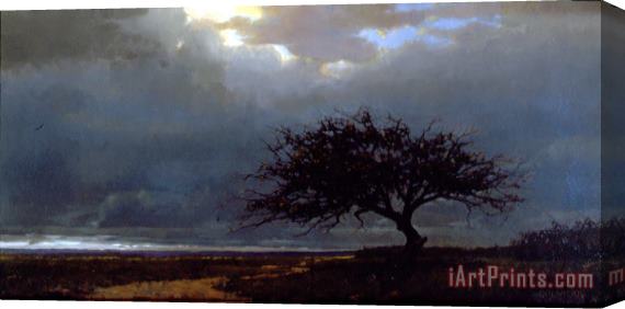 Jacob Collins Kenya Tree Stretched Canvas Painting / Canvas Art