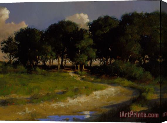 Jacob Collins Nantucket Pines Stretched Canvas Print / Canvas Art
