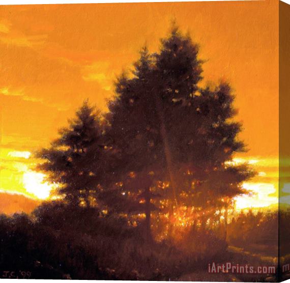 Jacob Collins Sunset Tree Stretched Canvas Painting / Canvas Art