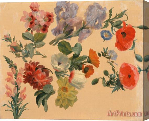 Jacques-Laurent Agasse Studies of Summer Flowers Stretched Canvas Print / Canvas Art