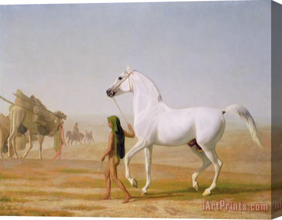 Jacques-Laurent Agasse The Wellesley Grey Arabian led through the Desert Stretched Canvas Painting / Canvas Art