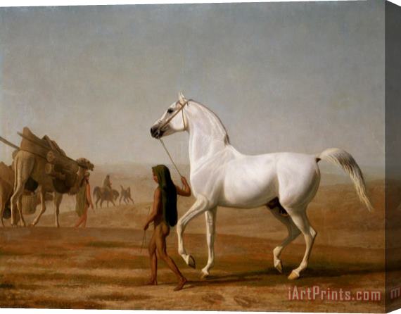 Jacques-Laurent Agasse The Wellesley Grey Arabian Led Through The Desert Stretched Canvas Print / Canvas Art