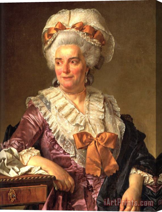 Jacques Louis David Portrait of Genevieve Jacqueline Pecoul Stretched Canvas Painting / Canvas Art