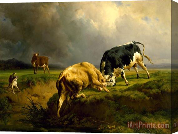 Jacques-Raymond Brascassat A Bull Fight Stretched Canvas Print / Canvas Art