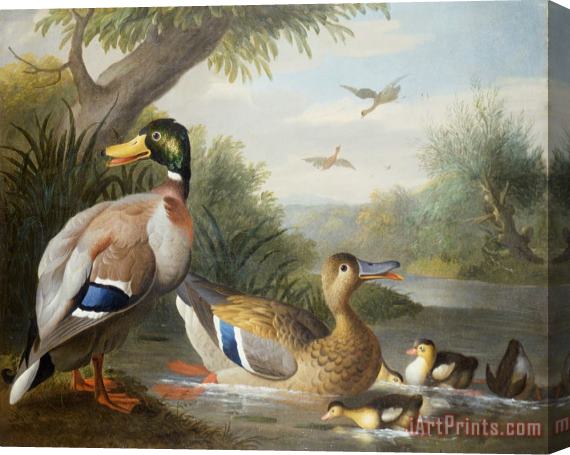 Jakob Bogdany Ducks in a River Landscape Stretched Canvas Print / Canvas Art