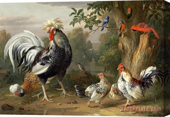 Jakob Bogdany Poultry And Other Birds in The Garden of a Mansion Stretched Canvas Print / Canvas Art