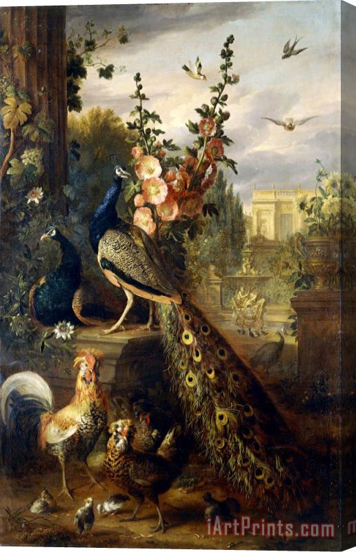 Jakob Bogdany Two Peacocks on a Stone Plinth in a Garden Stretched Canvas Print / Canvas Art