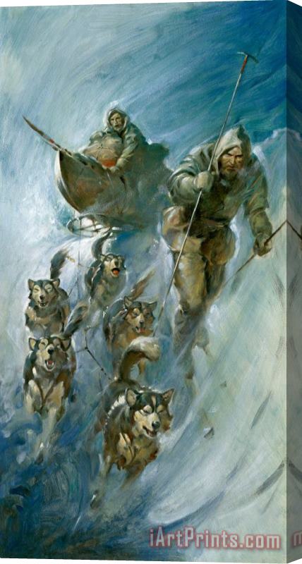 James Edwin McConnell Nansen Conqueror of the Arctic Ice Stretched Canvas Painting / Canvas Art