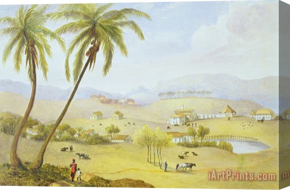 James Hakewill Haughton Court - Hanover Jamaica Stretched Canvas Print / Canvas Art