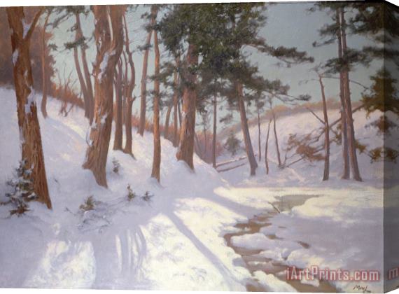 James MacLaren Winter woodland with a stream Stretched Canvas Print / Canvas Art
