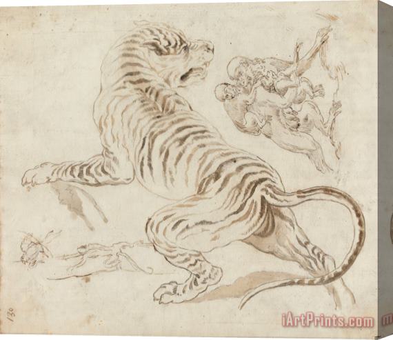 James Northcote Study for a Tiger And Monkeys Stretched Canvas Print / Canvas Art