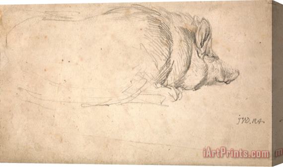 James Ward A Hog, Sleeping Stretched Canvas Print / Canvas Art