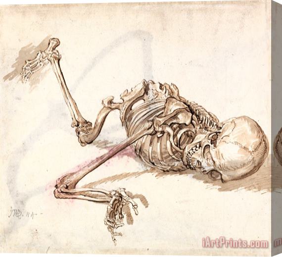 James Ward A Human Skeleton 2 Stretched Canvas Print / Canvas Art