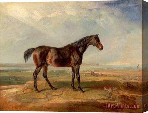 James Ward Dr. Syntax, a Bay Racehorse, Standing in a Coastal Landscape, an Estuary Beyond Stretched Canvas Print / Canvas Art