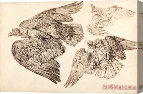 James Ward Eagles Stretched Canvas Print / Canvas Art