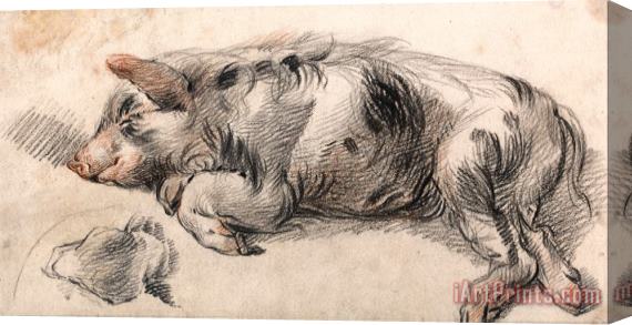James Ward Sleeping Pig Stretched Canvas Print / Canvas Art