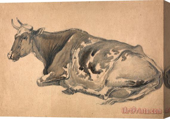 James Ward Study of a Cow Stretched Canvas Print / Canvas Art