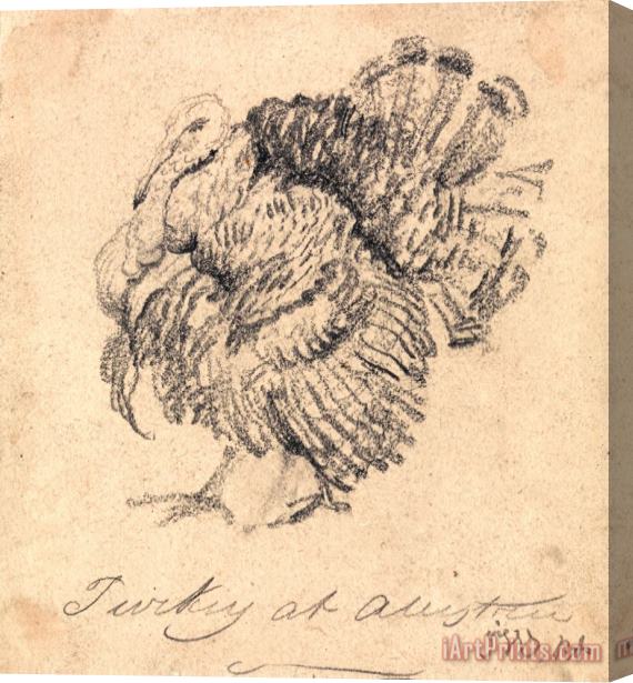 James Ward Study of a Turkey Stretched Canvas Print / Canvas Art
