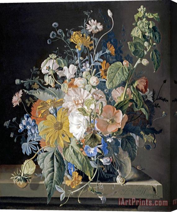 Jan Van Huysum Poppies, Hollyhock, Morning Glory, Viola, Daisies Stretched Canvas Painting / Canvas Art