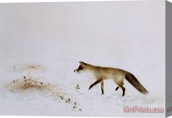Jane Neville Fox in Snow Stretched Canvas Painting / Canvas Art
