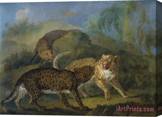 Jean Baptiste Oudry Trois Leopards Stretched Canvas Print / Canvas Art