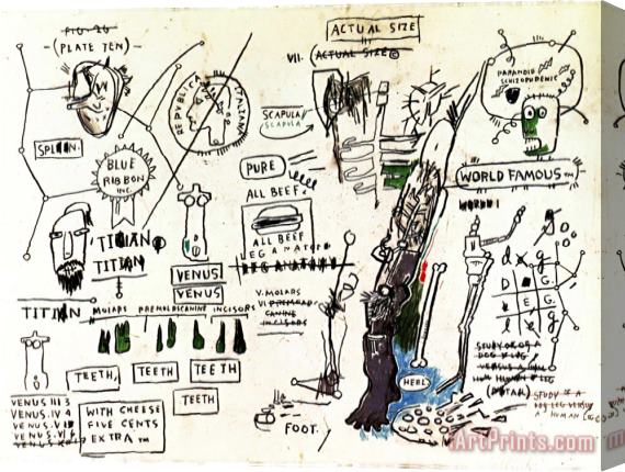 Jean-michel Basquiat Titian Stretched Canvas Print / Canvas Art