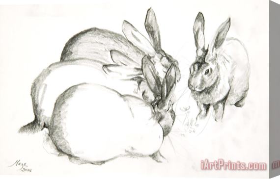 Jeanne Maze Rabbits Stretched Canvas Print / Canvas Art