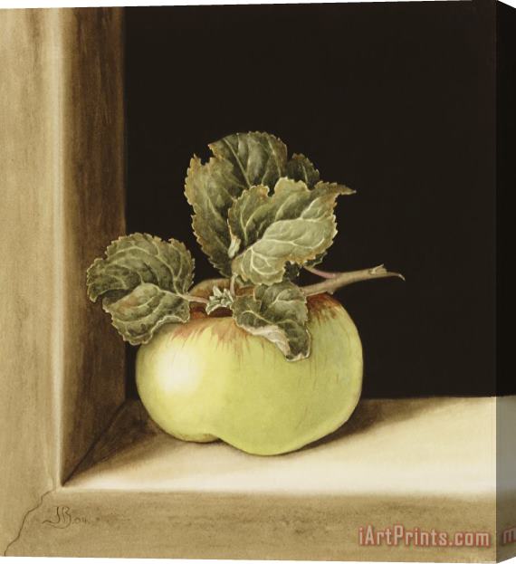 Jenny Barron Apple Stretched Canvas Print / Canvas Art