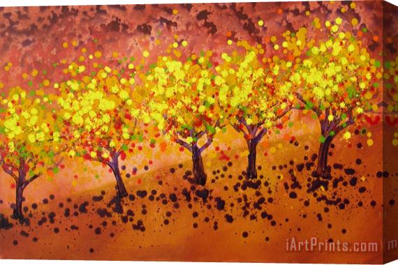 Jerome Lawrence Five Trees Stretched Canvas Print / Canvas Art