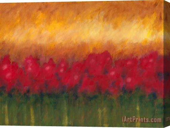 Jerome Lawrence Passion XIII Stretched Canvas Print / Canvas Art