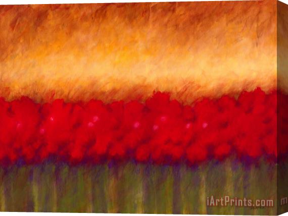 Jerome Lawrence Passion XVII Stretched Canvas Print / Canvas Art