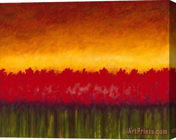Jerome Lawrence Passions Horizon Stretched Canvas Painting / Canvas Art
