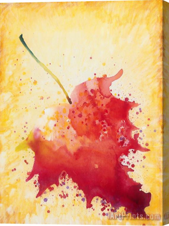 Jerome Lawrence Red Leaf Stretched Canvas Painting / Canvas Art