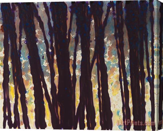 Jerome Lawrence Trees at Twilight IX Stretched Canvas Print / Canvas Art