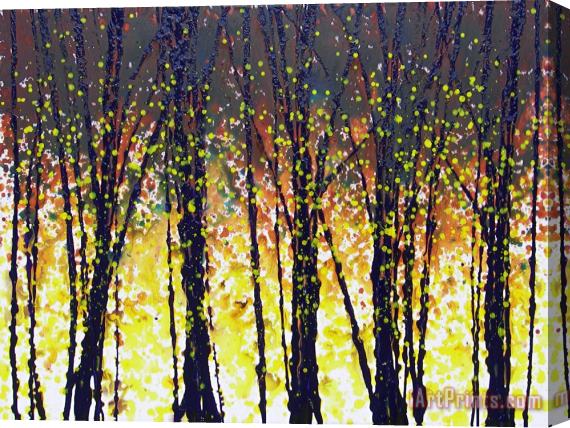 Jerome Lawrence Trees at Twilight VIII Stretched Canvas Print / Canvas Art