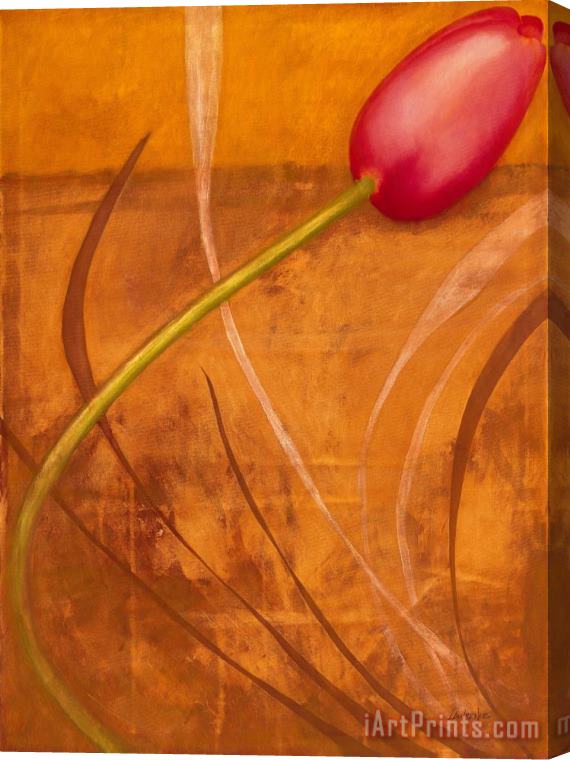 Jerome Lawrence Tulips are People XI Stretched Canvas Painting / Canvas Art