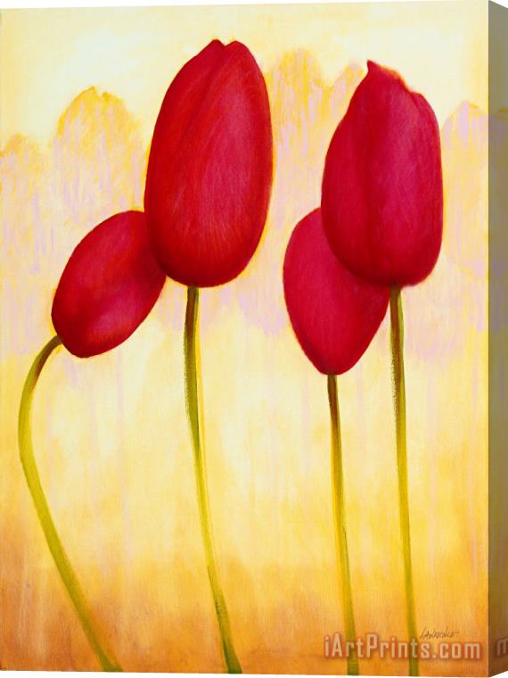 Jerome Lawrence Tulips are People XV Stretched Canvas Print / Canvas Art
