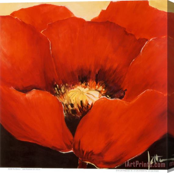 Jettie Roseboom Red Beauty I Stretched Canvas Print / Canvas Art