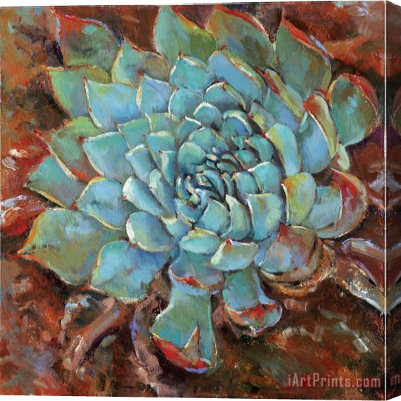 Jillian David Blue Agave II Stretched Canvas Painting / Canvas Art
